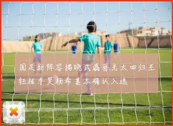 国足新阵容揭晓武磊蒋光太回归王钰栋李昊杨希基本确认入选