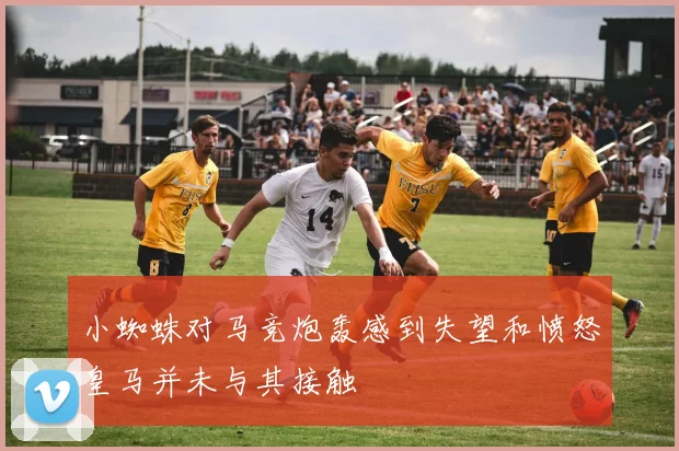 小蜘蛛对马竞炮轰感到失望和愤怒皇马并未与其接触