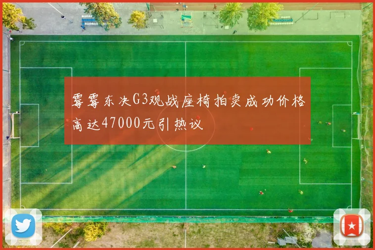霉霉东决G3观战座椅拍卖成功价格高达47000元引热议